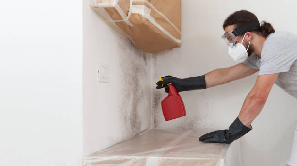 Professional Black Mold Removal technician working in Cresson, TX