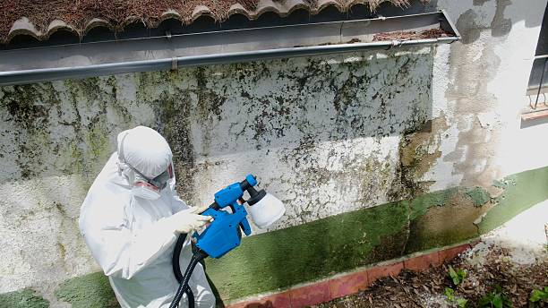 Trusted Mold Inspection service in Cresson, TX - Cheap Mold Removal